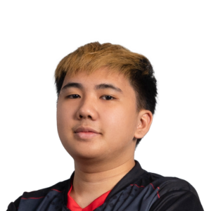 Glitter Yopaj- Player Sticker – TI 2022