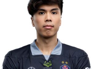 Taiga Player Sticker – TI 2022