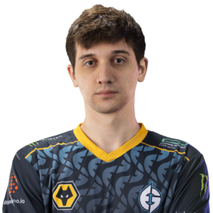 天鸽 Player Sticker – TI 2022